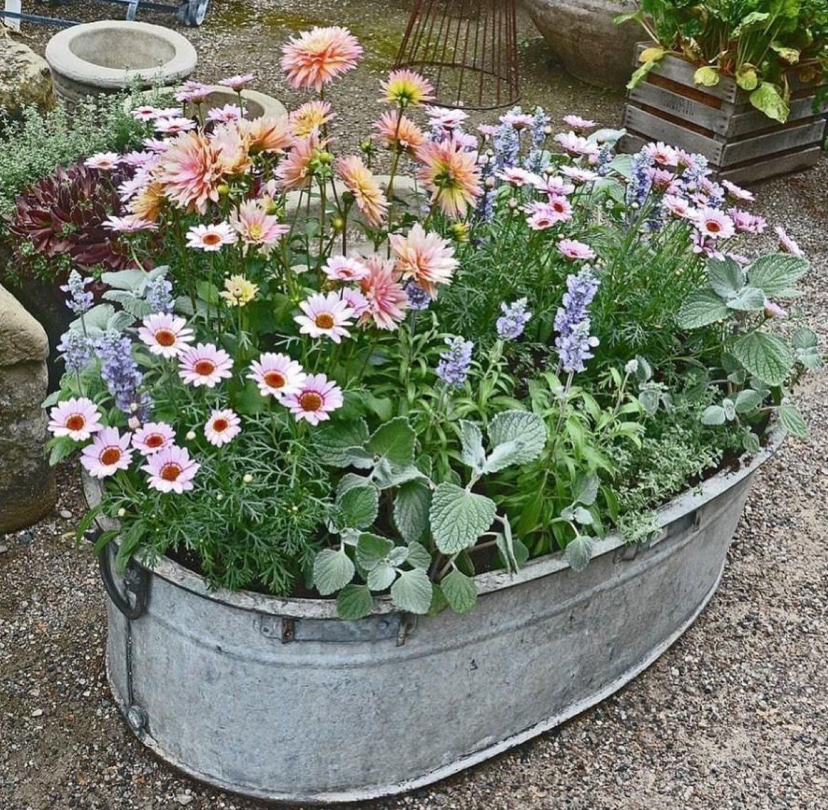 Get Garden-Ready: Outdoor Appliances & Tech for Summer